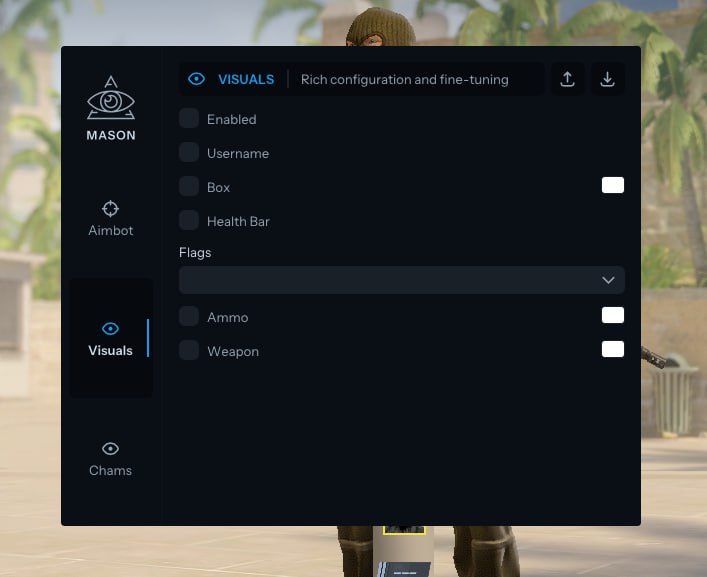 Mason CS2 Internal - Настройки
