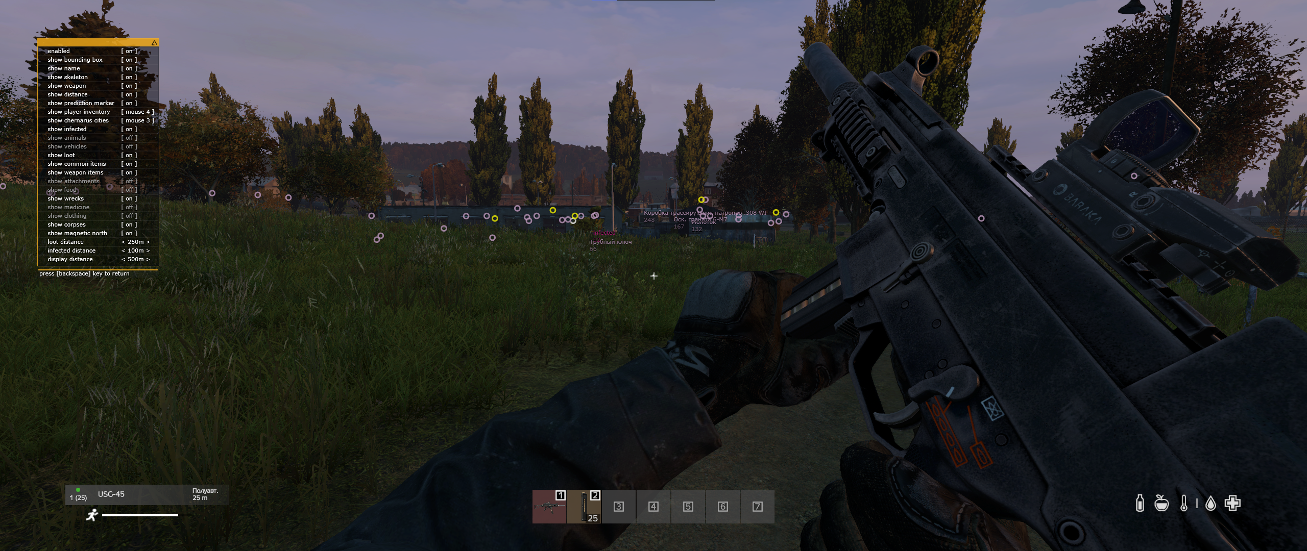 Mason DayZ - Скриншот интерфейса чита